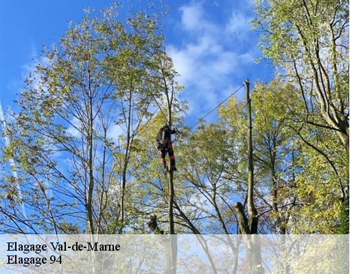 Elagage Val-de-Marne 