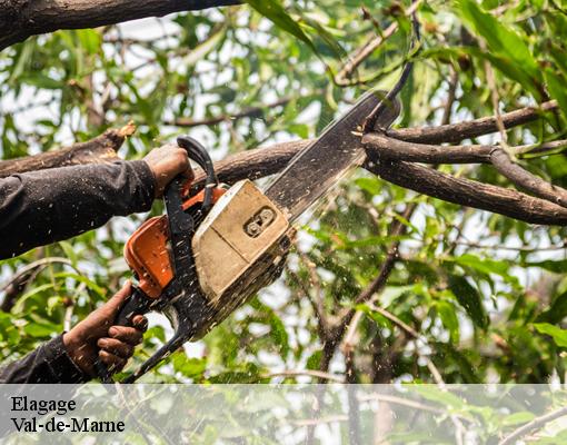 Elagage Val-de-Marne 