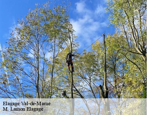 Elagage Val-de-Marne