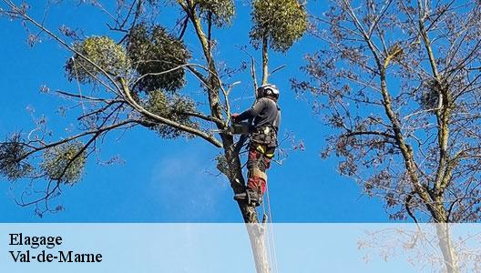Elagage Val-de-Marne 