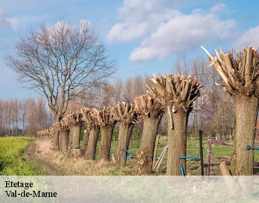 Etetage Val-de-Marne 