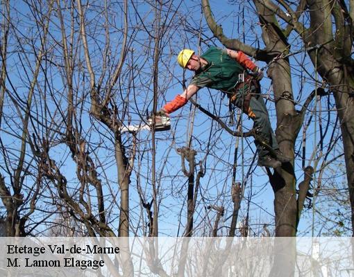 Etetage Val-de-Marne 