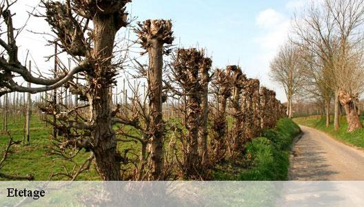 Etetage Val-de-Marne 