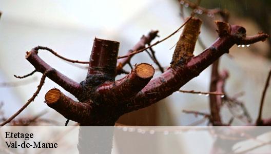 Etetage Val-de-Marne 