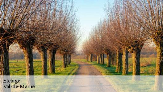 Etetage Val-de-Marne 