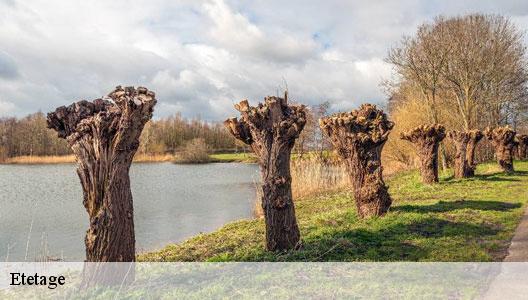 Etetage Val-de-Marne 