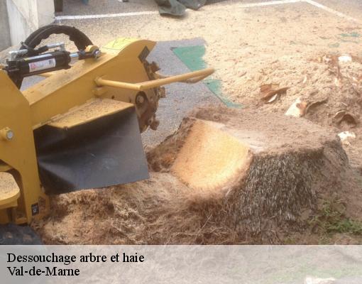 Dessouchage arbre et haie Val-de-Marne 