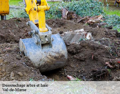 Dessouchage arbre et haie