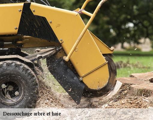 Dessouchage arbre et haie Val-de-Marne 