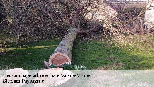 Dessouchage arbre et haie Val-de-Marne 