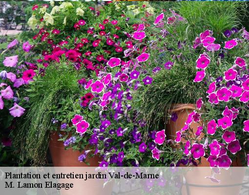 Plantation et entretien jardin 94 Val-de-Marne  M. Lamon Elagage