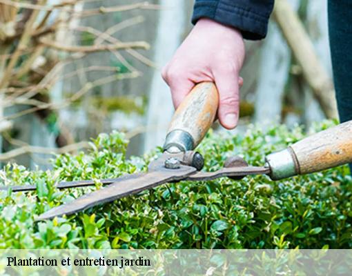 Plantation et entretien jardin