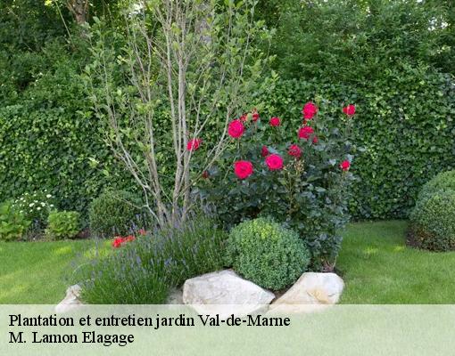 Plantation et entretien jardin Val-de-Marne 