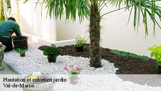 Plantation et entretien jardin Val-de-Marne