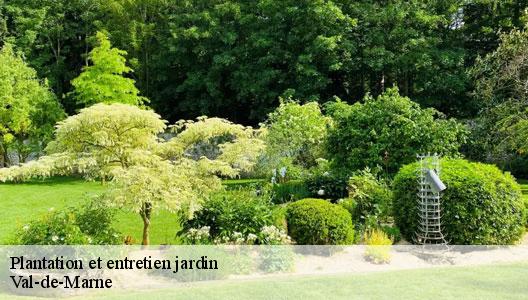Plantation et entretien jardin Val-de-Marne 