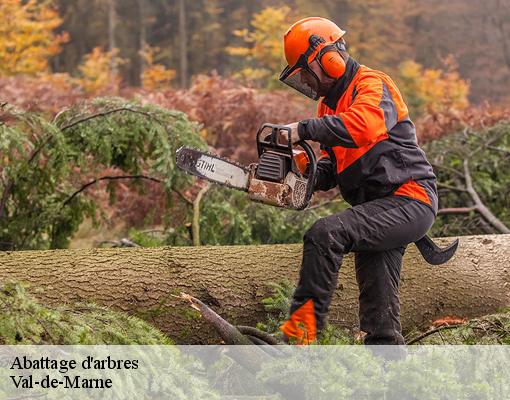 Abattage d'arbres Val-de-Marne 