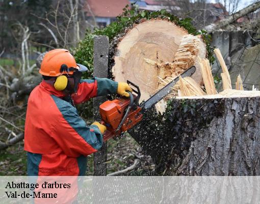 Abattage d'arbres