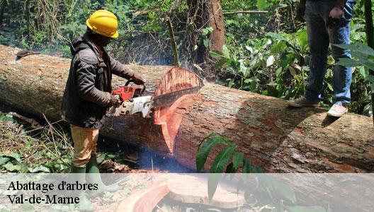 Abattage d'arbres Val-de-Marne 