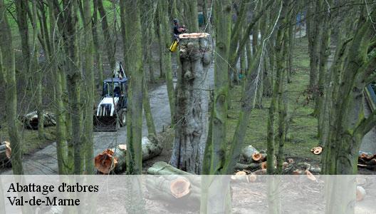 Abattage d'arbres Val-de-Marne 