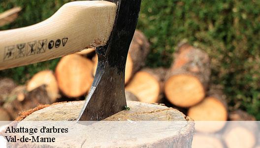 Abattage d'arbres Val-de-Marne 