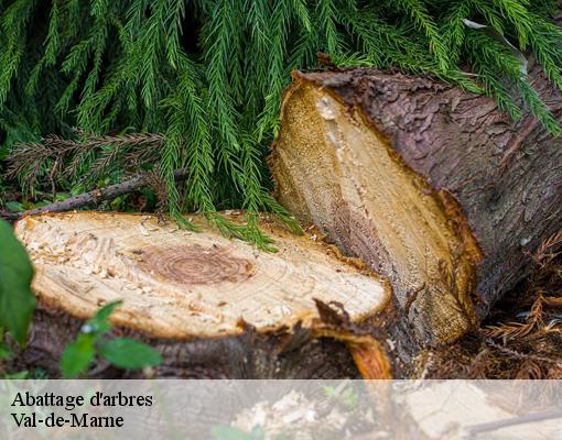 Abattage d'arbres Val-de-Marne 