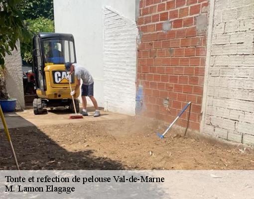 Tonte et refection de pelouse 94 Val-de-Marne  M. Lamon Elagage