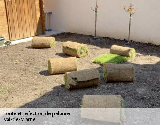 Tonte et refection de pelouse Val-de-Marne