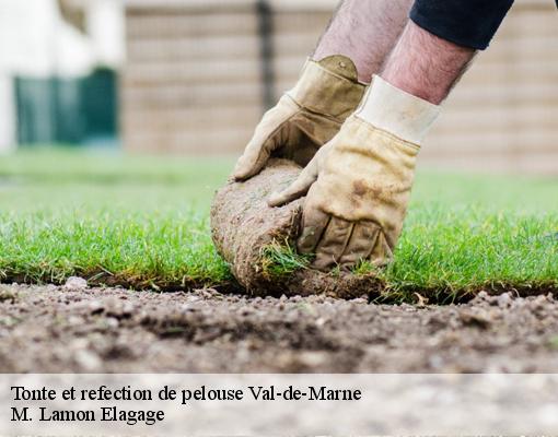 Tonte et refection de pelouse Val-de-Marne 