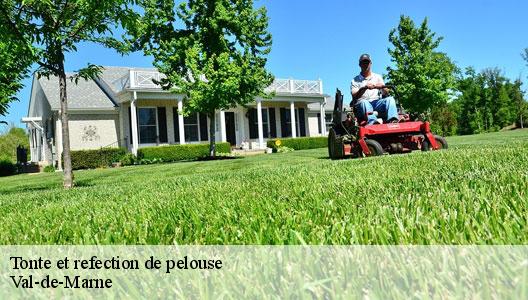 Tonte et refection de pelouse Val-de-Marne