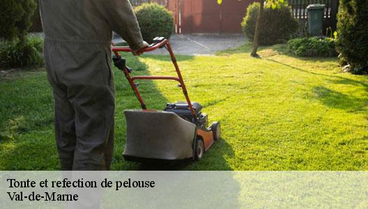 Tonte et refection de pelouse Val-de-Marne