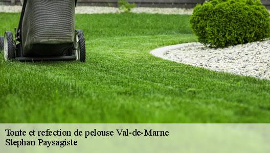 Tonte et refection de pelouse Val-de-Marne