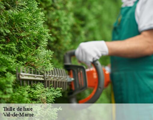 Taille de haie Val-de-Marne