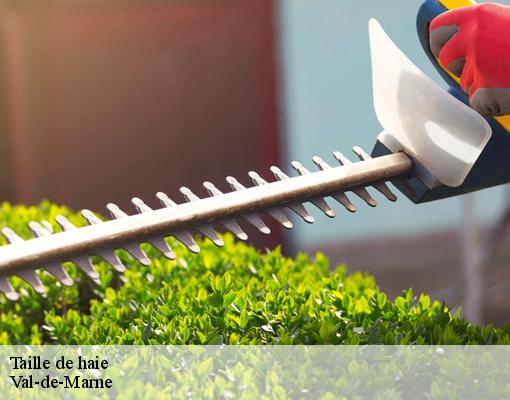 Taille de haie Val-de-Marne