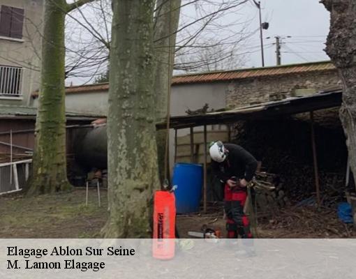 Elagage  ablon-sur-seine-94480 Etablissement LG 