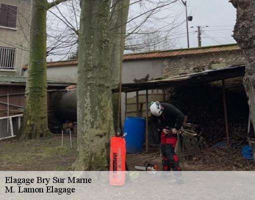 Elagage bry-sur-marne-94360 M. Lamon Elagage
