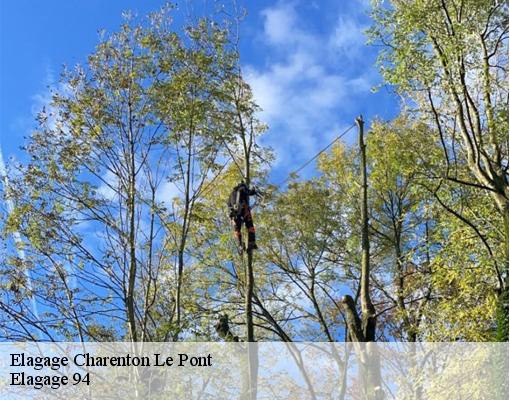 Elagage  94220