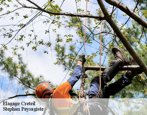 Elagage  creteil-94000 Stephan Paysagiste