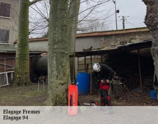 Elagage fresnes-94260 Elagage 94