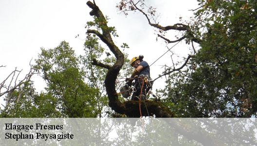 Elagage  94260