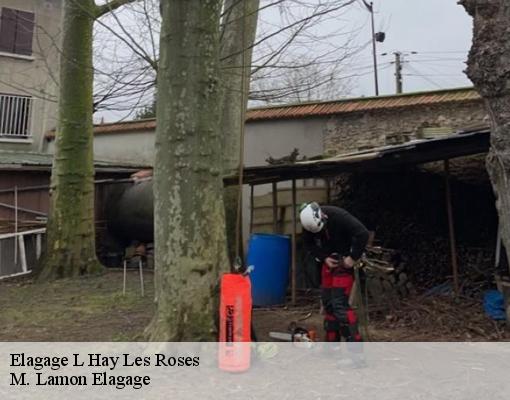 Elagage l-hay-les-roses-94240 Etablissement LG