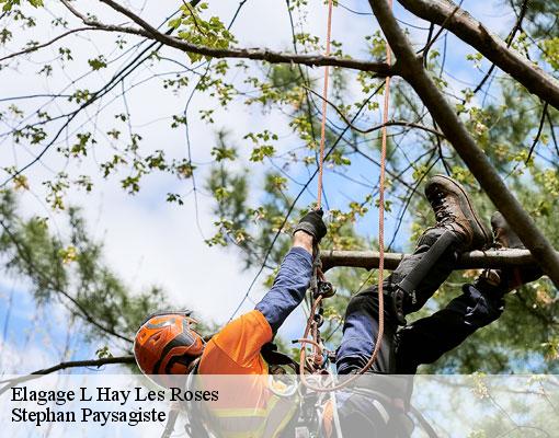 Elagage  l-hay-les-roses-94240 Stephan Paysagiste