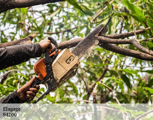 Elagage 94200