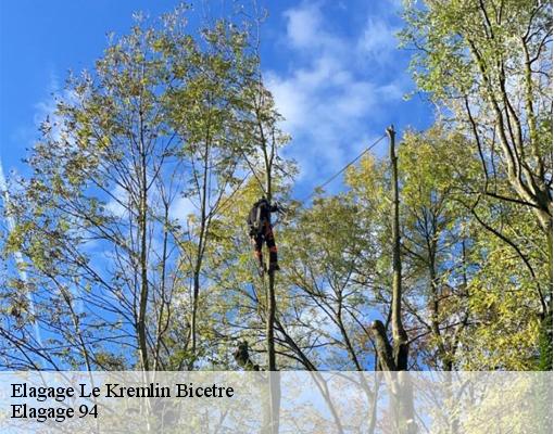 Elagage 94270
