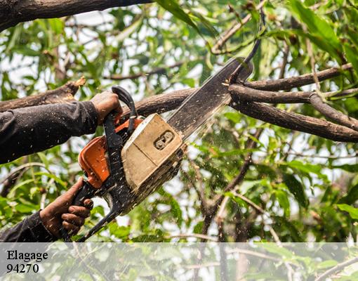 Elagage 94270
