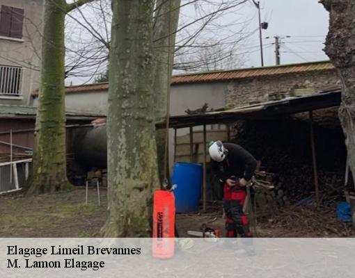 Elagage limeil-brevannes-94450 M. Lamon Elagage