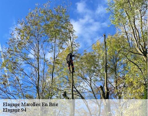 Elagage  94440