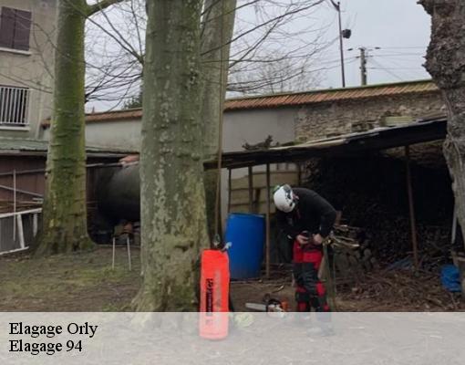 Elagage orly-94310 Elagage 94