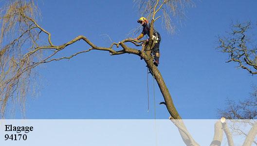 Elagage  94170