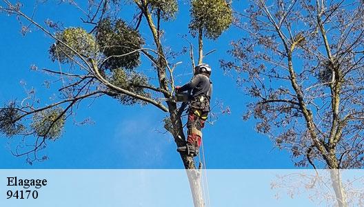 Elagage  94170