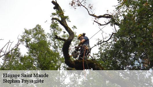 Elagage  94160